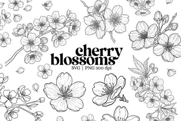 Download Botanical Cherry Blossom Outline Clipart - Clipart Collection