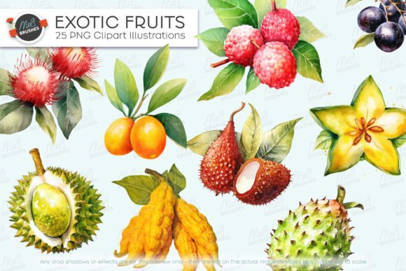 Download 25 Exotic Fruits Watercolour Clipart - Clipart Collection