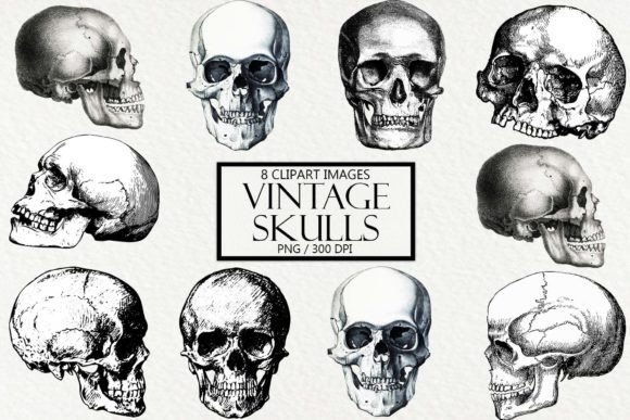 Download Vintage Skulls Clipart - Clipart Collection