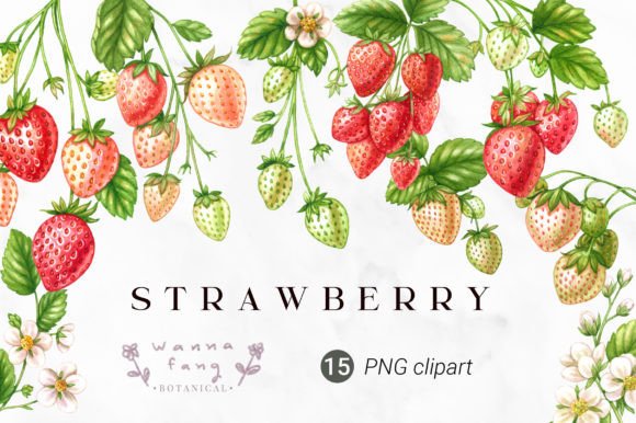 Download Strawberry Fruit Watercolor Clipart, PNG - Clipart Collection