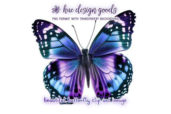 Download Beautiful Blue and Purple Butterfly - Purple Collection