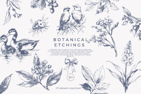 Download Botanical Clipart Vintage Illustration - Clipart Collection