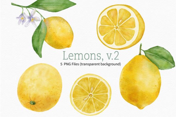 Download Lemon Watercolor Fruit Clipart Branch - Clipart Collection