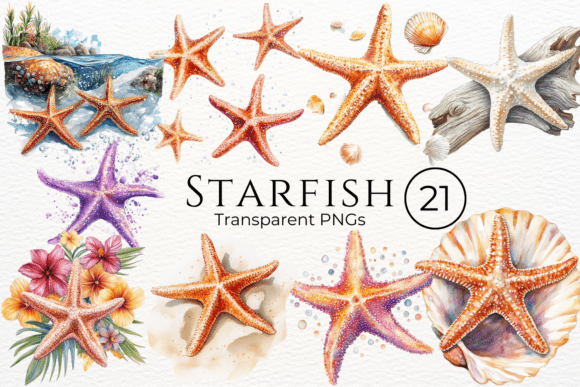 Download Starfish Watercolor Cliparts - Clipart Collection